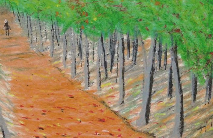 Artwork of path through woods