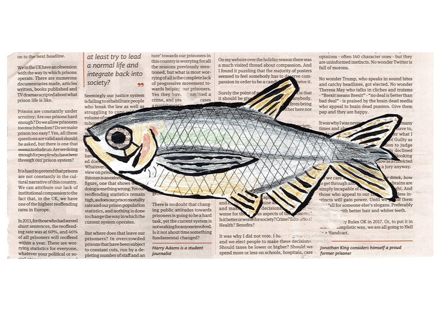 Fisheries Management - Anonymous, HMP Buckley Hall