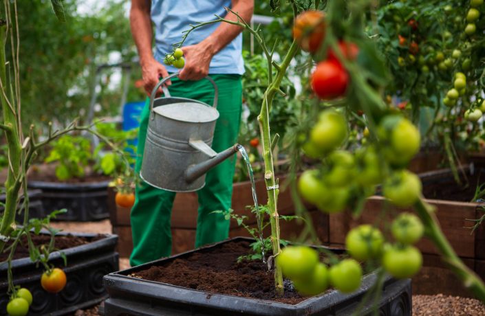 Gardening in prison