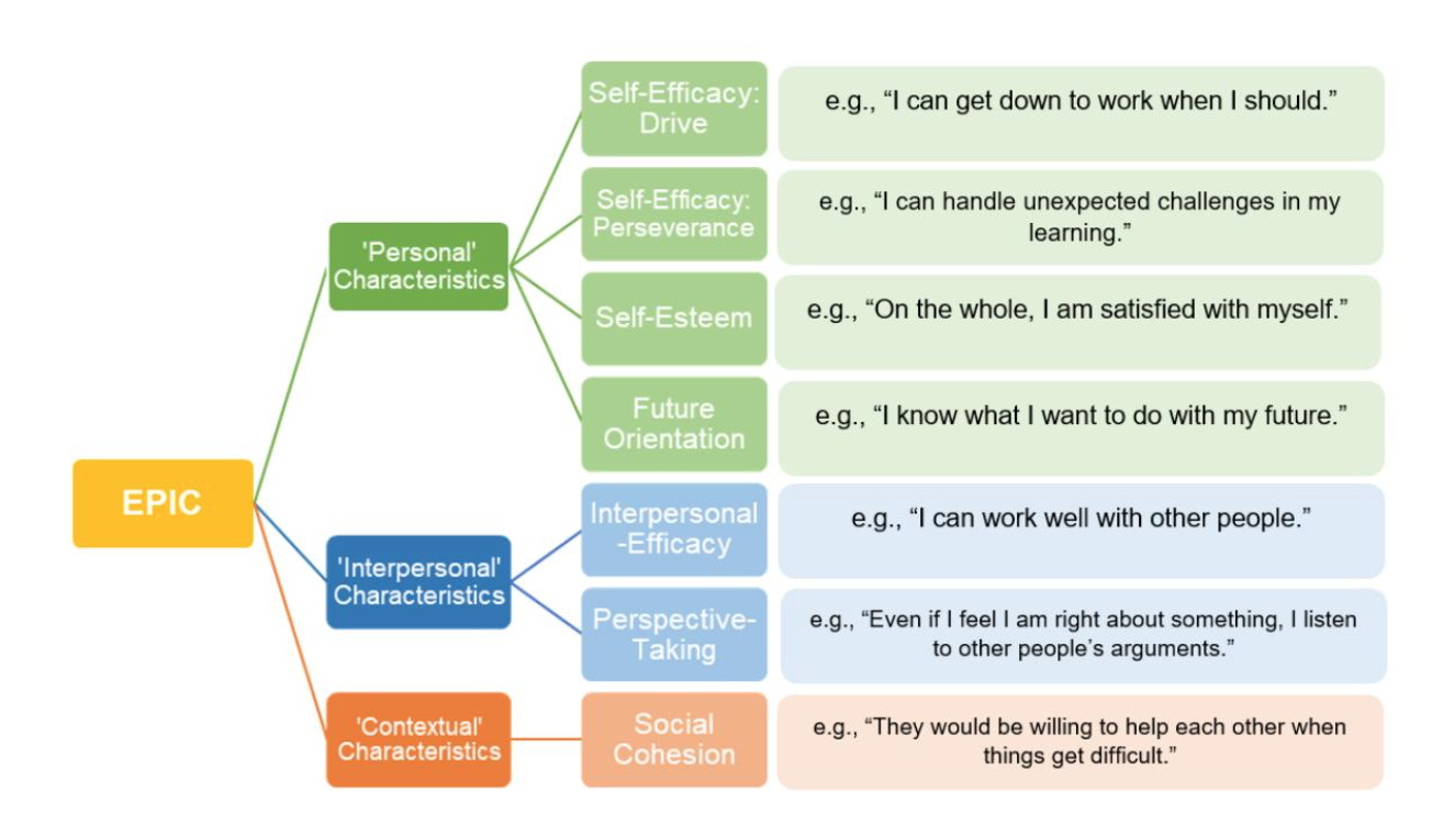 Figure 2. Amended seven component EPIC scale, with two self-efficacy sub-components: ‘Drive’ and ‘Perseverence’. 