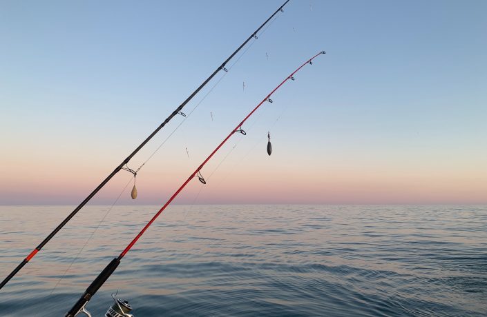 Photograph of two fishing rods overlooking the ocean